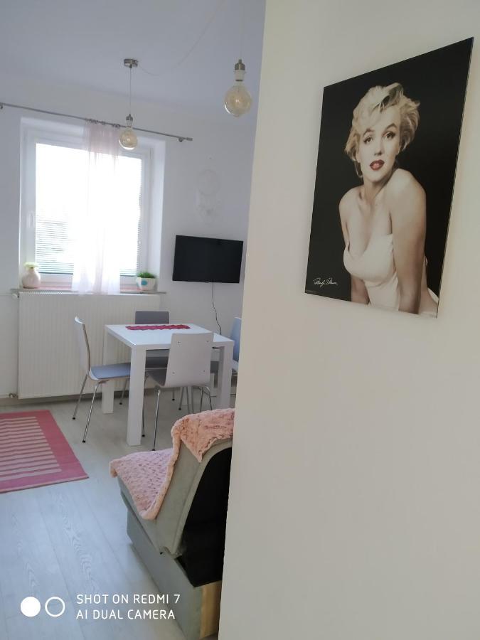 Apartma Jerman - Cerknica Extérieur photo