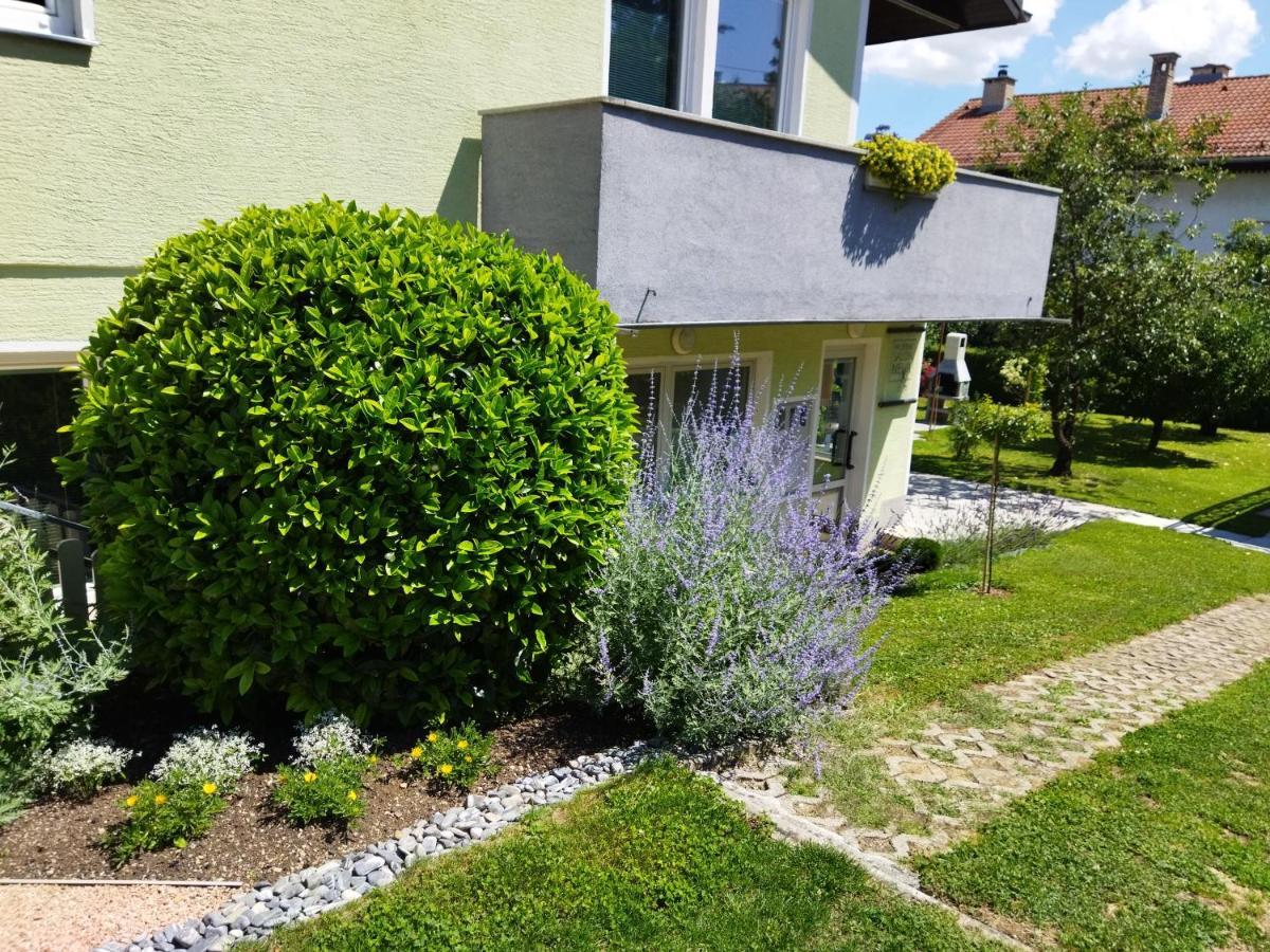 Apartma Jerman - Cerknica Extérieur photo