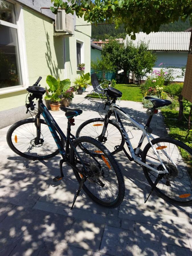 Apartma Jerman - Cerknica Extérieur photo